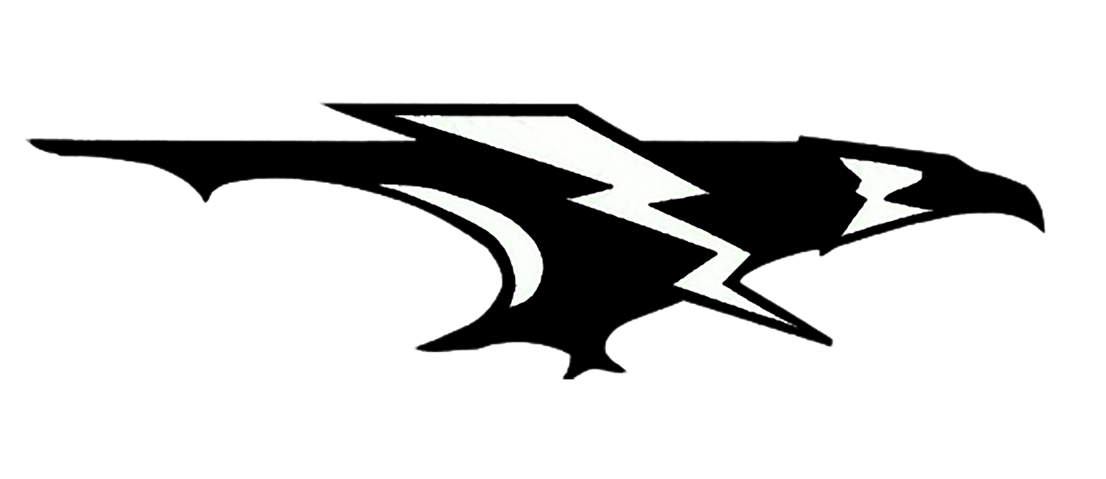 Edsel Ford High School Thunderbird mascot logo submitted by the customer